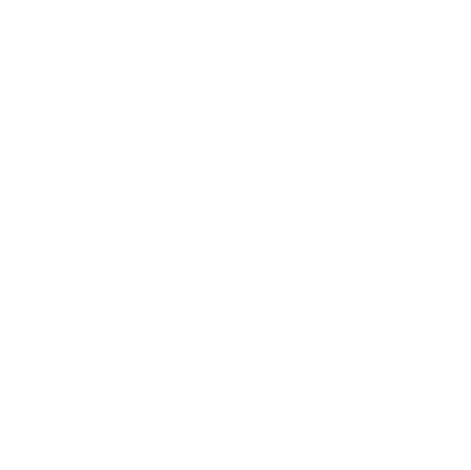 logo_blanc